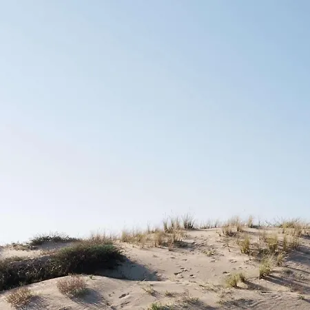 Charmante Maison Avec Jardin Pour 6 Personnes Apartament Sanguinet